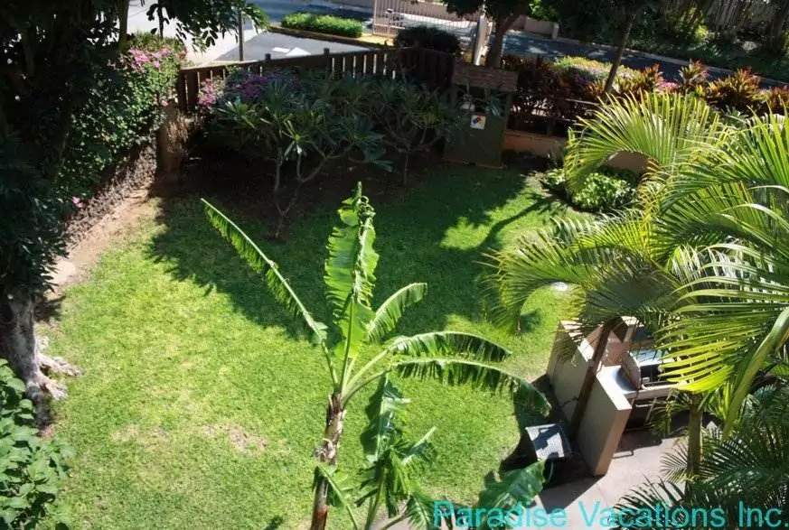 Kamaole Sands 4313 - Image 5