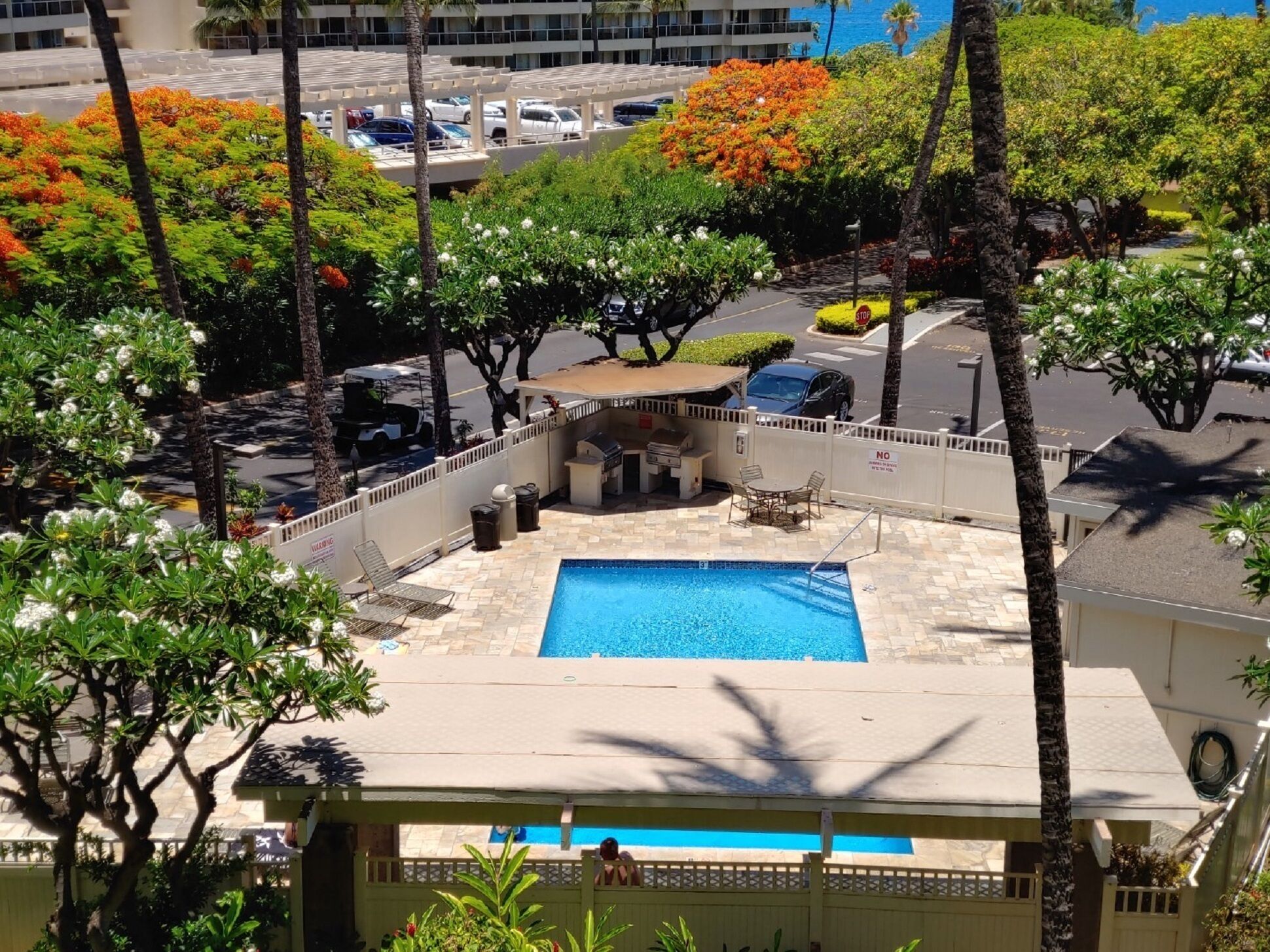 Hotel pool surrounded by palm trees and greenery.